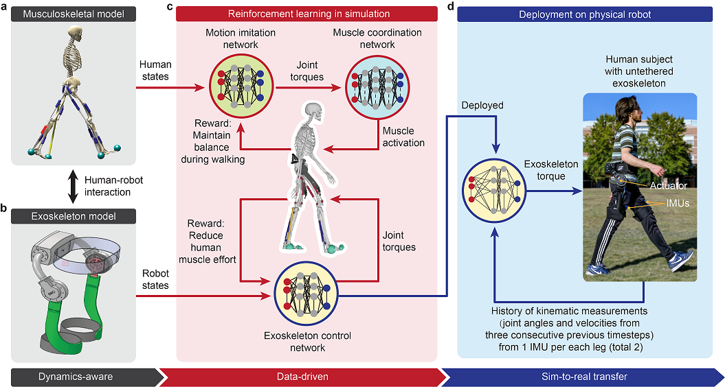 AI Strategy May Promise Broader Use of Portable, Robotic Exoskeletons